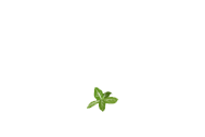 anthony spronto logo