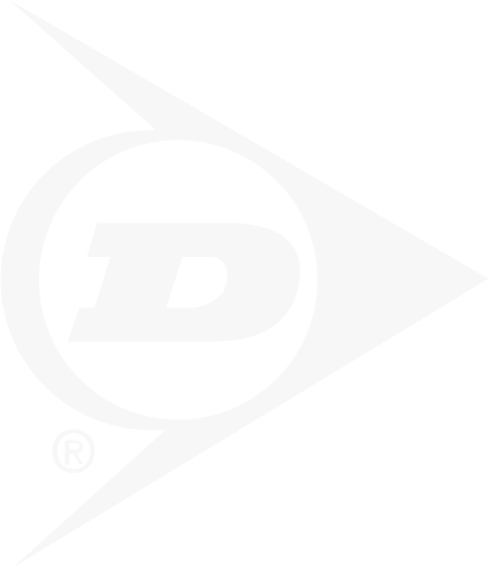 dunlop motor cycle tires