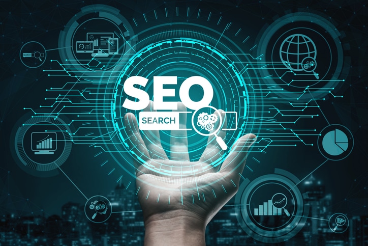 Infographic SEO Search